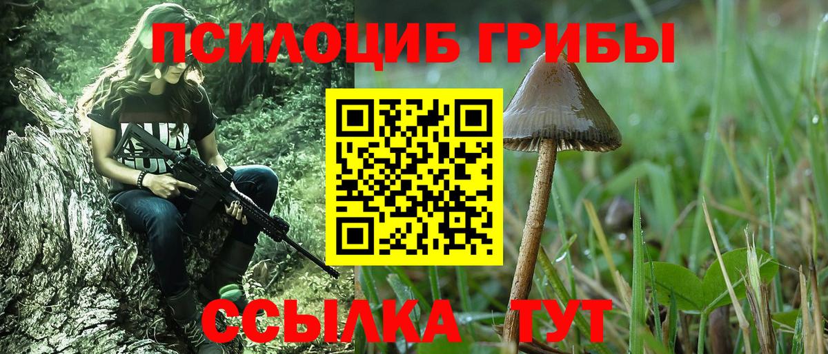 Галлюциногенные грибы мухоморы  Вход с VPN  Псилоцибиновые грибы Cubensis  Озёрск 