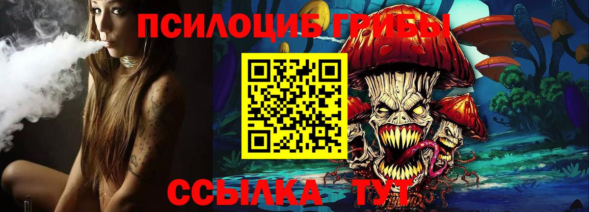 Псилоцибиновые грибы Cubensis Озёрск